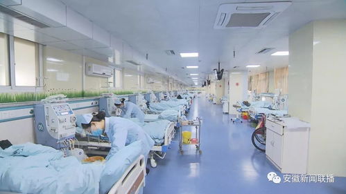 安徽开展省属公立医疗机构部分常用药及第二批抗癌药集中带量采购议价政策解读